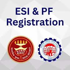 ESI/ PF Registration- wealth definer